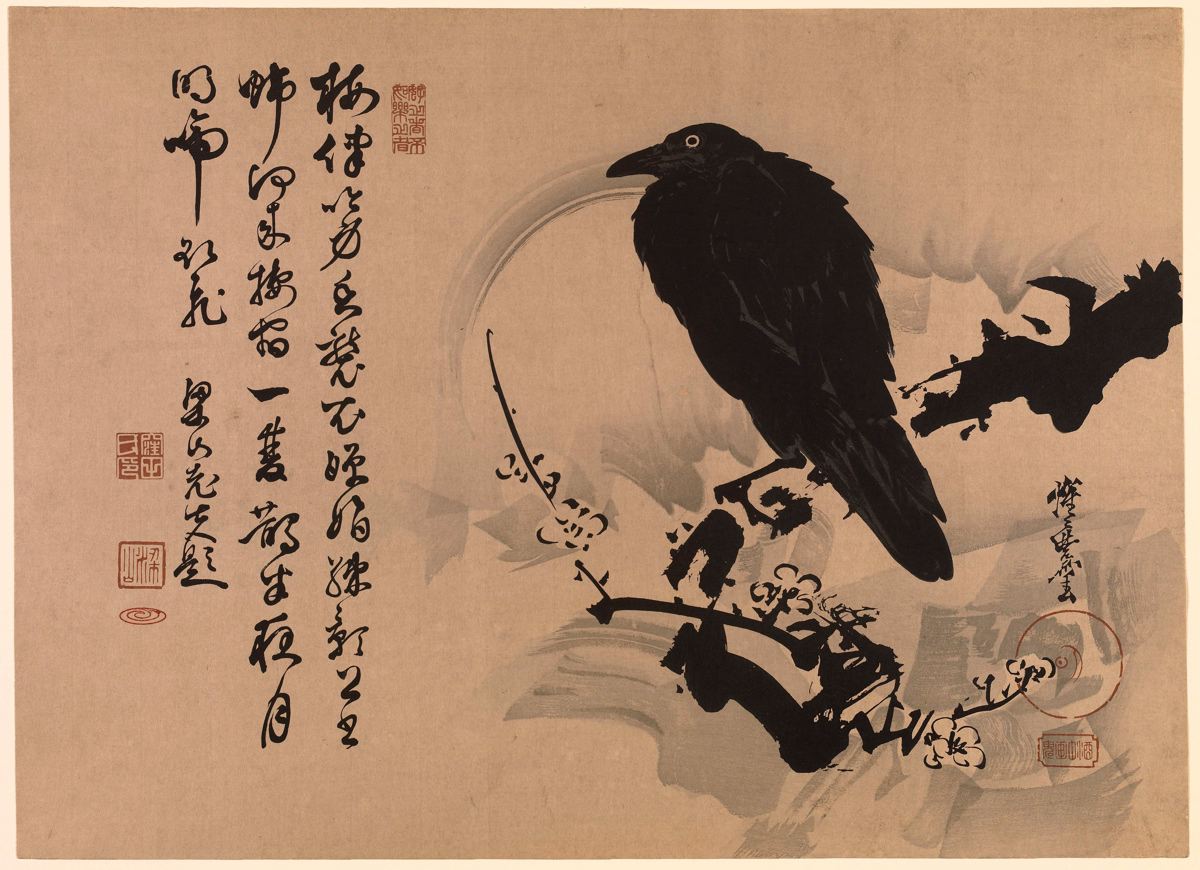 Уродливый ворон